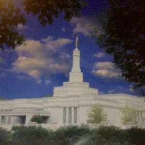 Meet your Posher, Amaryllis